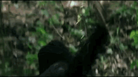 a man is laying on the ground in the woods with a knife .