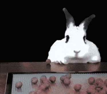 a white rabbit is sitting on a table with a bunch of grapes in front of it