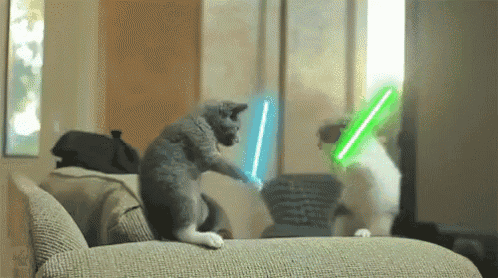 two cats are playing with lightsabers on a couch in a room
