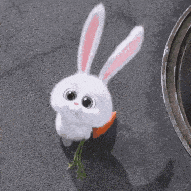Cute Bunny Carrot Animated GIF - Cute Bunny Carrot Animated GIFs