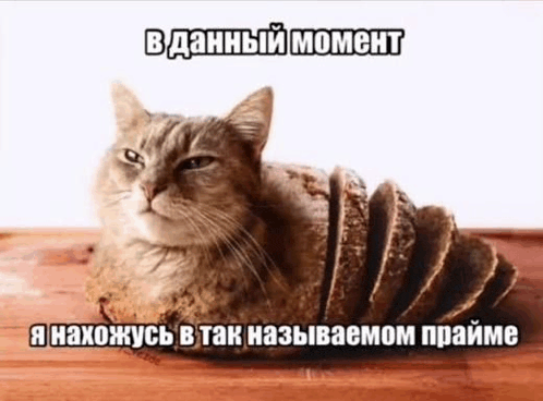 a cat is laying on a loaf of bread on a wooden table .