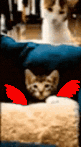 a cat with red wings is sitting on a box