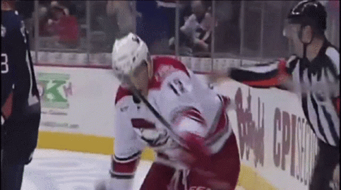 Charlotte Checkers Goal GIF - Charlotte Checkers Goal Celly GIFs