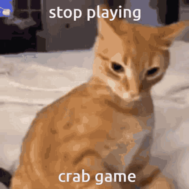Stop Playing Crab Game GIF - Stop Playing Crab Game GIFs