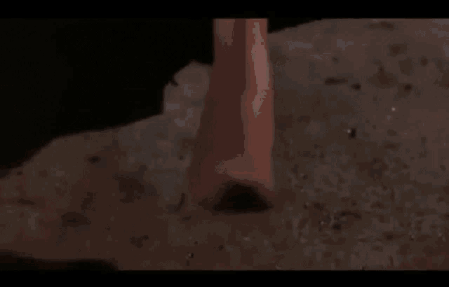 Harlem Nights GIF