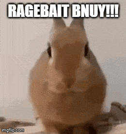 a close up of a rabbit with the words ragebait bnuy written above it