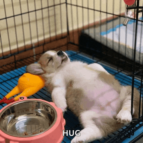 a puppy is sleeping in a cage next to a pink bowl that says hug