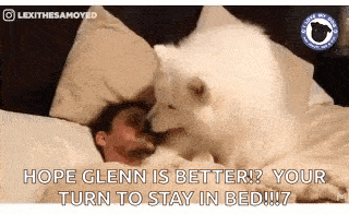a man is laying in bed with a large white dog on his head .