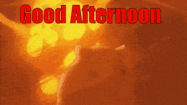 a picture of a cat with the words good afternoon above it