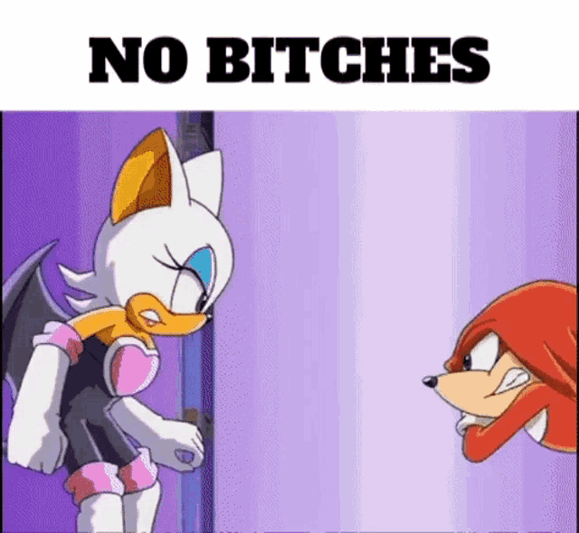 Rouge Knuckles GIF - Rouge Knuckles Quandale Dingle GIFs