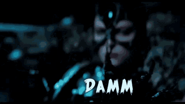 a woman in a catwoman costume with the word damm on the bottom right