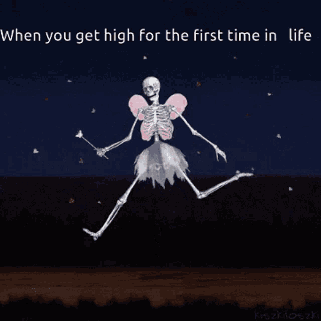 a skeleton in a fairy costume with the words " when you get high for the first time in life " below it