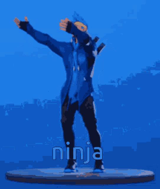 Ninja Dance GIF