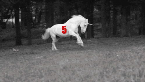 a unicorn with the number 5 painted on its back