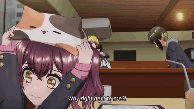 a girl is holding a cat pillow on her head and says why right next to me