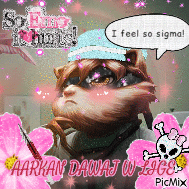 a picture of a bear with a speech bubble that says i feel so sigma