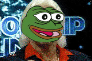a cartoon of a man with a wig and a frog face on his face