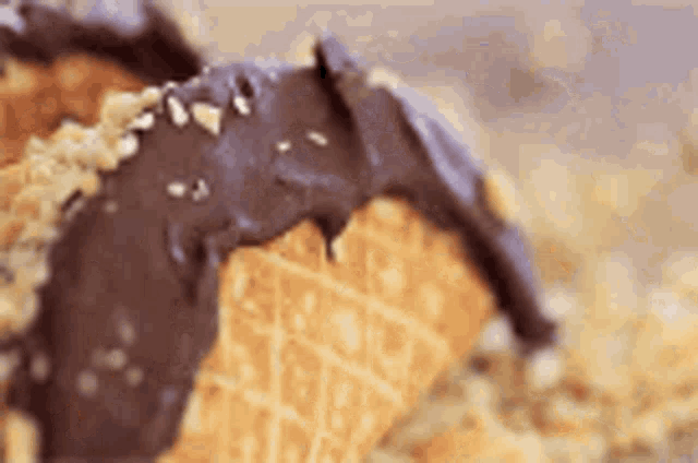 a close up of a waffle cone covered in chocolate .