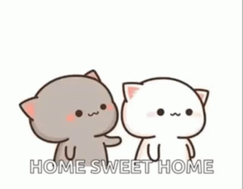 Kitty Home GIF - Kitty Home Home Sweet Home GIFs