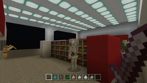 a skeleton is standing in a library in a minecraft video game