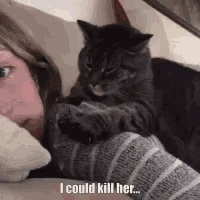 Angry Cat GIF - Angry Cat I Could Kill Her GIFs