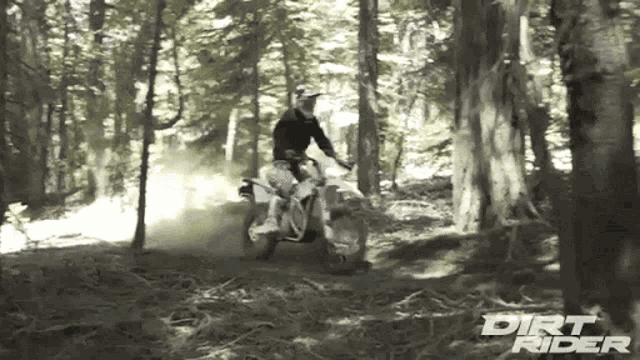 Forest Ride Rough Track GIF - Forest Ride Rough Track Hard Curve GIFs