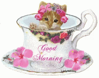 a kitten is sitting in a cup that says " good morning "