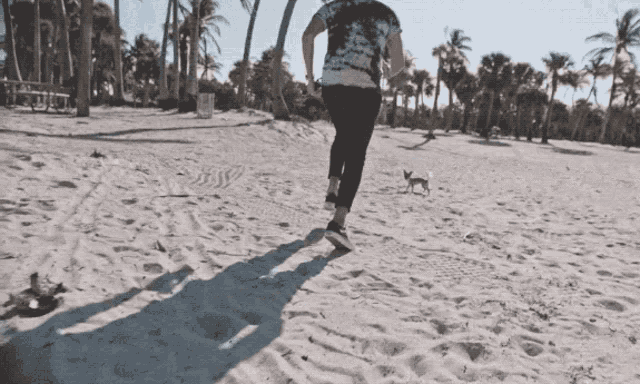 a woman is running on a beach with a small dog