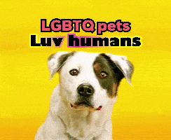 a picture of a dog with the words lgbtq pets luy humans