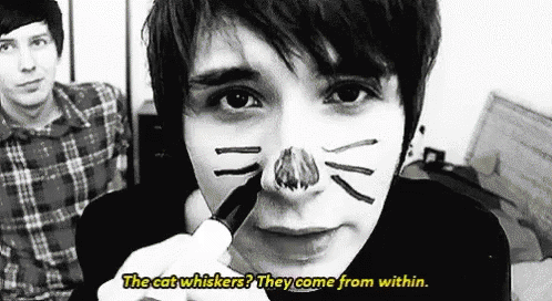 Cat Whiskers GIF