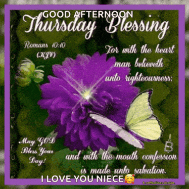 a good afternoon thursday blessing with purple flowers and butterflies