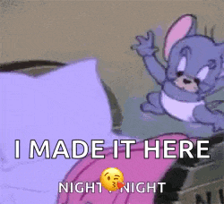 a cartoon mouse is laying on a bed with the words `` i made it here night night '' written on it .