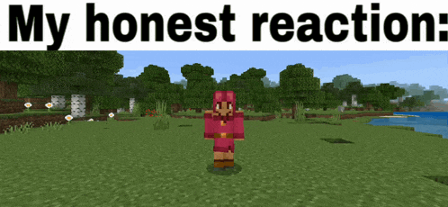 a screenshot of a minecraft game with the words " my honest reaction " below it