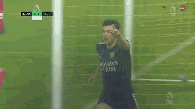 a soccer player wearing a jersey that says emirates fly better is celebrating a goal