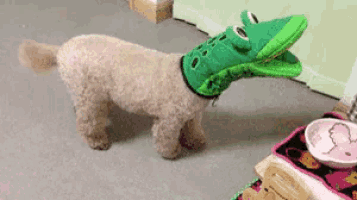 a dog wearing a frog costume is standing in a room