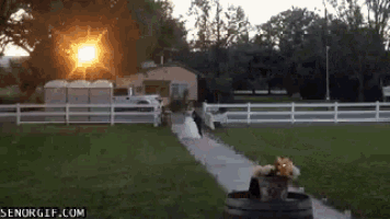 a bride and groom are walking down a path in front of a white fence with the sun shining through it