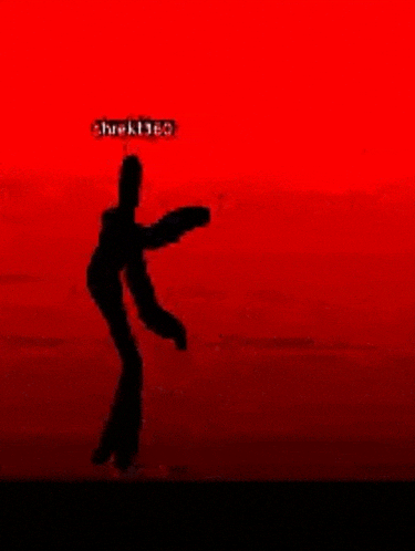 a silhouette of a man standing in front of a red sky .
