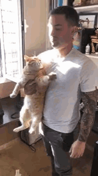 a man is holding a cat in his arms in a living room .