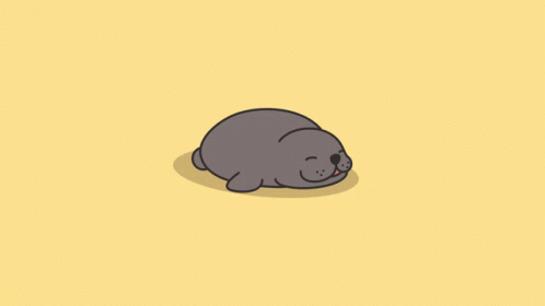 Seal Sleep GIF - Seal Sleep Sleeping GIFs