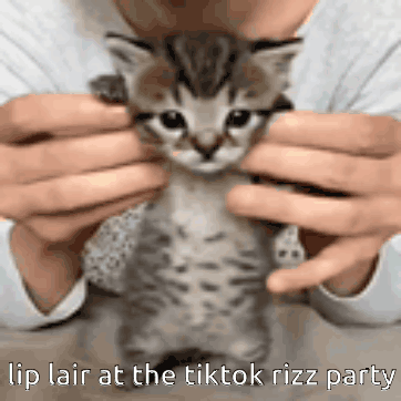 Lip Lair Tiktok Rizz Party GIF - Lip Lair Tiktok Rizz Party GIFs