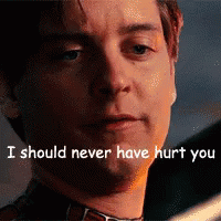 Spiderman Tobey Maguire GIF - Spiderman Tobey Maguire I Should Never Have Hurt You GIFs
