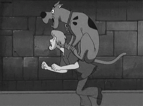 Scoobydoo Shaggy GIF - Scoobydoo Shaggy Run GIFs