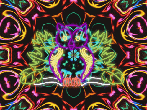 Owl Neon GIF - Owl Neon Colors GIFs