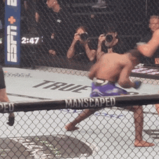 two men are fighting in a boxing ring with a fence that says manscaped