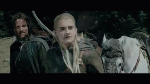 That Is One Of The Mares GIF - The Lord Of The Rings Legolas Orlando Bloom GIFs