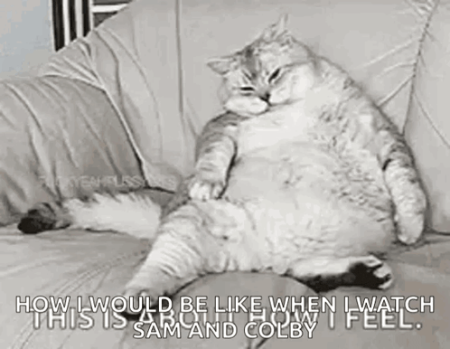 a fat cat is sitting on a couch with a funny caption .