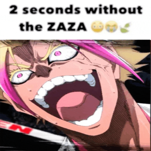 a cartoon character with pink hair is screaming with the words " 2 seconds without the zaza "