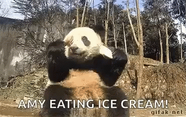 Panda Eating Ice Cream GIF - Panda Eating Ice Cream Fall GIFs