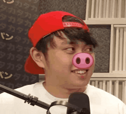 a man wearing a red hat and a pig nose is smiling in front of a microphone .