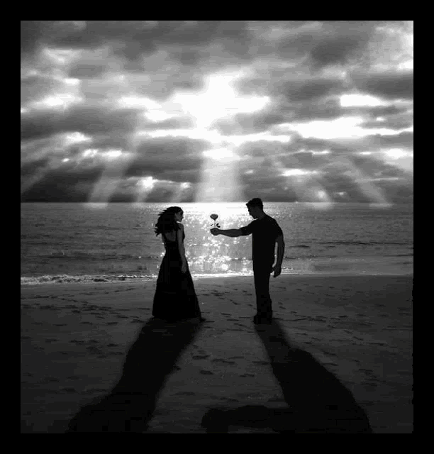 a black and white photo of a man giving a woman a red rose